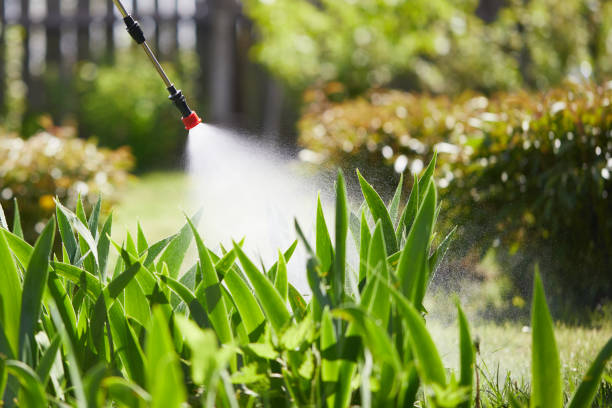 24/7 Emergency Wasp Removal experts in Carol Stream, IL
