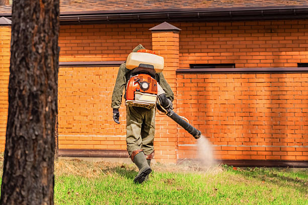 Top rated local Wasp Removal specialists in Carol Stream, IL